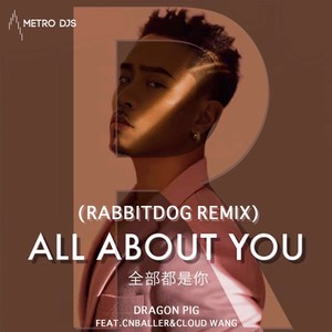 我的眼里都是你 (Rabbitdog remix)