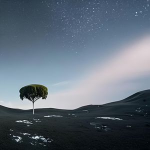 student freestyle (prod. dirty pool|Explicit)