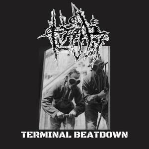 TERMINAL BEATDOWN