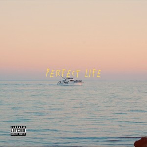 Perfect Life (Explicit)