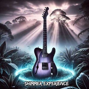 Shimmer Experience