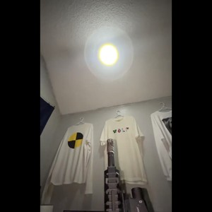 SHEWOULDDOIT_FORSOME_ART (Explicit)