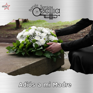 Adiós A Mi Madre