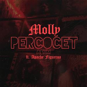 MOLLY PERCOCET (Explicit)