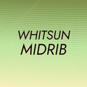 Whitsun Midrib