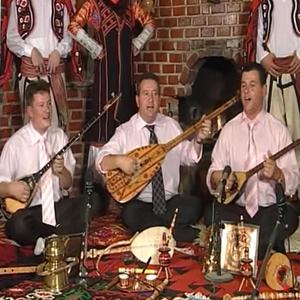 Dridhet toka ushtojne malet