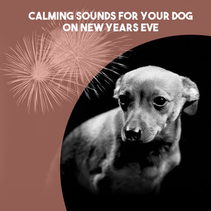 Calming Sounds for Your Dog on New Years Eve