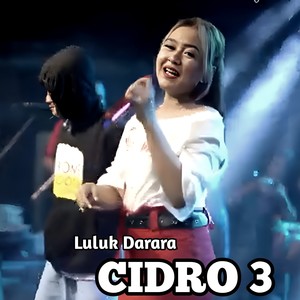 CiDRO 3