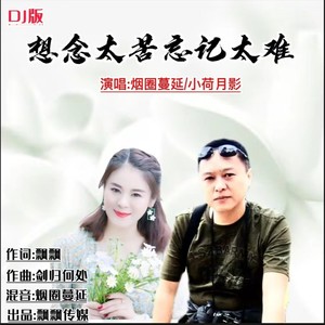想念太苦忘记太难 (对唱DJ晓朋版伴奏)