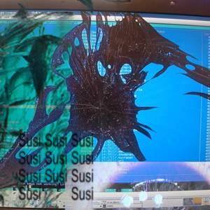 Susi (Explicit)