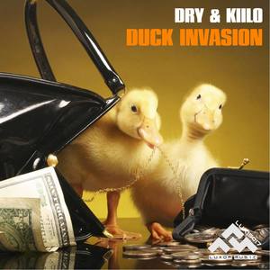 Duck Invasion