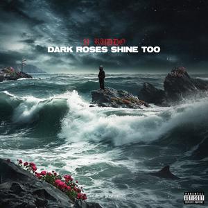 Dark Roses Shine Too (Explicit)