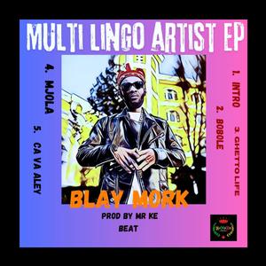 MULTI LINGO ARTIST EP