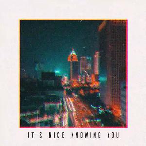 IT'S NICE KNOWING YOU (Explicit)