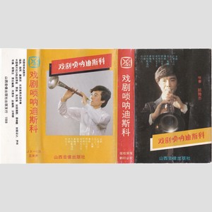 树上的鸟儿成双对