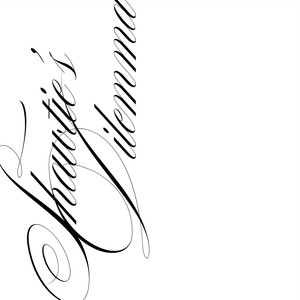 Shawtie's Dilemma (Demo Version)