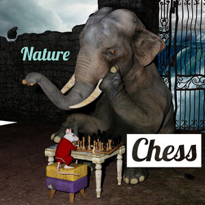 Chess (Explicit)