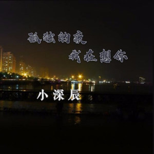 孤独的夜我在想你