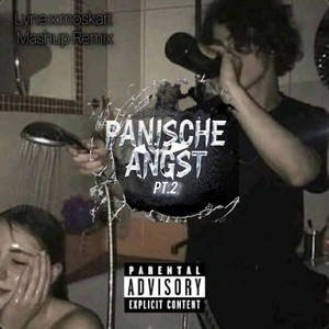 PA2 x Hass/Liebe (Mashup Remix|Explicit)