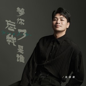 张偲偲 - 等你忘了我是谁 (live合唱版)