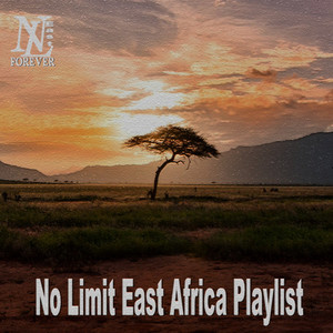 No Limit Africa Playlist (Explicit)