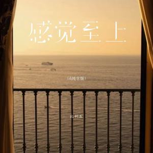 感觉至上 (dj纯享版)