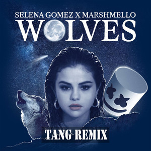 TANG唐 - Selena Gomez & Marshmello - Wolves (TANG Remix)