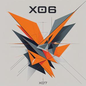 X06