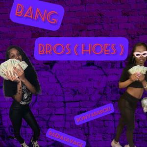 Bang Bros ( Hoes ) [Explicit]