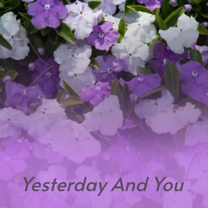 Yesterday and You