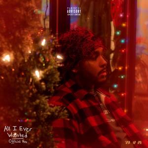 All I Ever Wanted (Explicit)