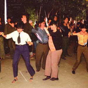 Vietnamese Party
