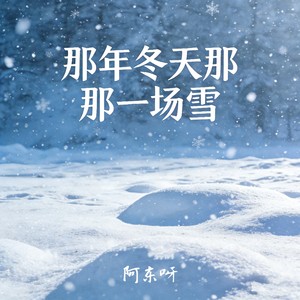 那年冬天那一场雪