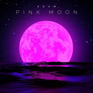 Pink Moon
