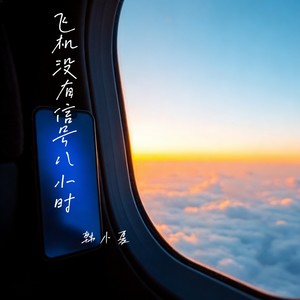 飞机没有信号八小时
