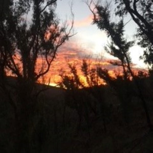 Anthony Goodridge - Wide Brown Land