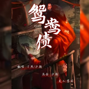 鸳鸯债