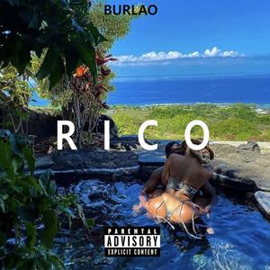 RICO (Explicit)