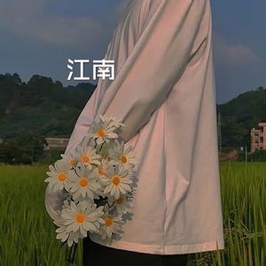 会不会