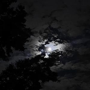 Uzi (feat. Gatzby) (Explicit)