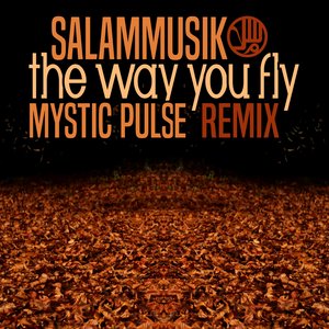 The Way You Fly(Jangan Nangis) (Mystic Pulse Remix)