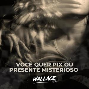 VOCÊ QUER PIX OU PRESENTE MISTERIOSO (Explicit)