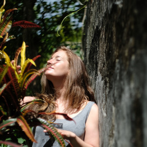 Wildify (Remaster 2024)