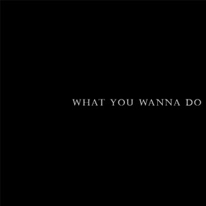 What You Wanna Do