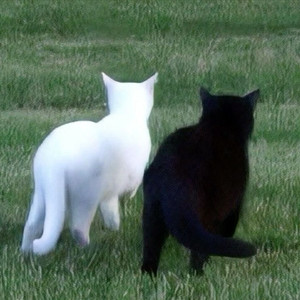 I've Finally Saved My Own Life