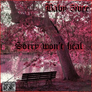 Sorry Wont Heal (Explicit)