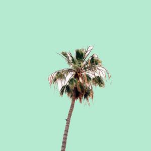 Roadsigns (Explicit)