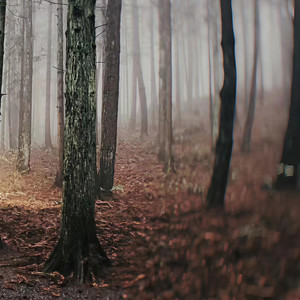 地球大炮- (演唱版)