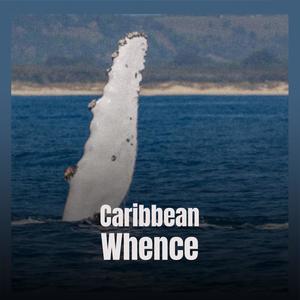Caribbean Whence