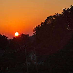 Solution or Problem (Explicit)